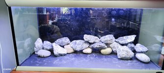 kalk met maas steen.jpg