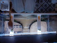 20250905_114902.jpg