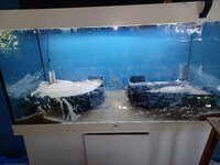 20250905_114930.jpg