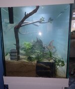 20250906_114353.jpg