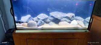 7 augustus 2025 stones 3.jpg