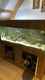 IMG_1173.jpeg