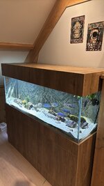 IMG_1178.jpeg