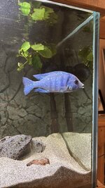 IMG_1179.jpeg