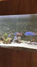 IMG_1180.jpeg