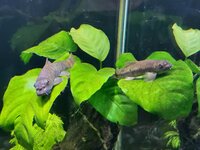 20251007_173745.jpg 20251007_173745.jpg