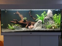 20251011_173645.jpg 20251011_173645.jpg