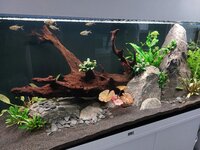 20251011_152504.jpg 20251011_152504.jpg