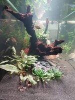 20251011_180238.jpg 20251011_180238.jpg