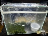 Afbeelding van WhatsApp op 2025-10-12 om 16.43.57_790a3573.jpg