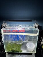 Afbeelding van WhatsApp op 2025-10-12 om 18.51.22_ba680fb6.jpg