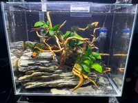 Afbeelding van WhatsApp op 2025-10-13 om 13.47.26_724e99aa.jpg