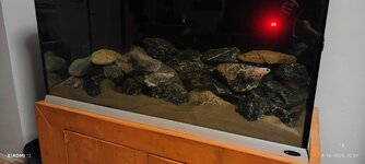 Aquarium bij nacht.jpg