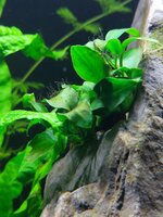 20251018_092500.jpg 20251018_092500.jpg