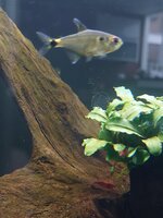 20251018_092510.jpg 20251018_092510.jpg