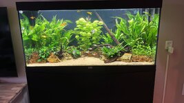 WhatsApp Image 2025-10-22 at 09.33.10.jpeg