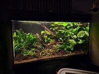 20251022_223950.jpg 20251022_223950.jpg