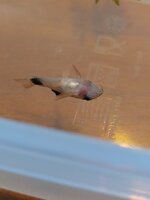 20251023_180019.jpg 20251023_180019.jpg