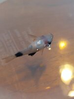 20251023_175942.jpg 20251023_175942.jpg