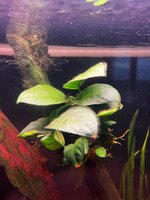 Afbeelding van WhatsApp op 2025-10-25 om 18.32.34_c67994f8.jpg