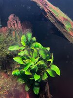 Afbeelding van WhatsApp op 2025-10-25 om 18.32.34_f75d0baa.jpg