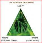 voedingsdriehoek.jpg voedingsdriehoek.jpg