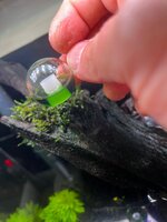 Afbeelding van WhatsApp op 2025-10-26 om 14.43.00_7d93f18b.jpg