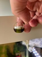 Afbeelding van WhatsApp op 2025-10-26 om 14.43.00_dd6010d9.jpg