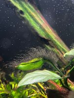 Afbeelding van WhatsApp op 2025-11-01 om 12.50.30_c2c595df.jpg