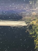 Afbeelding van WhatsApp op 2025-11-01 om 12.50.30_f536b9ff.jpg