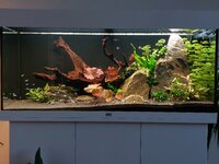 20251101_170251.jpg 20251101_170251.jpg