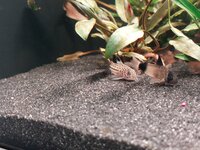 20251101_164331.jpg 20251101_164331.jpg