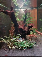 20251101_152338.jpg 20251101_152338.jpg