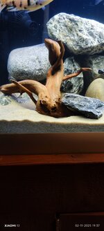 2 nov Malawi hout 2.jpg