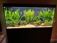 WhatsApp Image 2025-11-01 at 19.49.25.jpeg