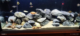 Nieuw malawi stenen2.jpg