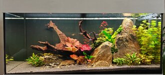 IMG20251115140505.jpg IMG20251115140505.jpg