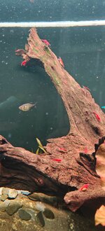 IMG20251115140447.jpg IMG20251115140447.jpg