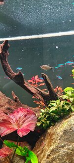 IMG20251115140438.jpg IMG20251115140438.jpg