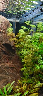 IMG20251115140347.jpg IMG20251115140347.jpg