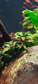 IMG20251115140338.jpg IMG20251115140338.jpg