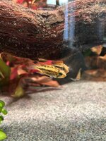 image0-2.jpeg image0-2.jpeg