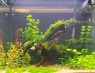 WhatsApp Image 2025-11-18 at 20.18.39.jpeg