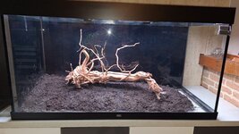 20251120_140526.jpg 20251120_140526.jpg