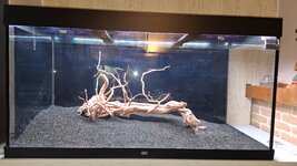 20251120_160709.jpg 20251120_160709.jpg