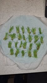 20251121_124730.jpg 20251121_124730.jpg