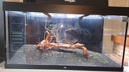 20251121_134815.jpg 20251121_134815.jpg