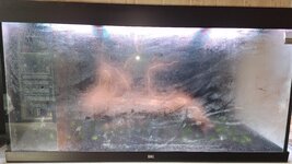 20251122_115155.jpg 20251122_115155.jpg