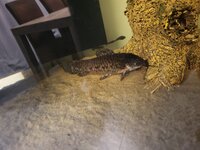 20251125_212824 vis.jpg