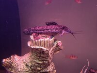 20251126_200744 Vis.jpg